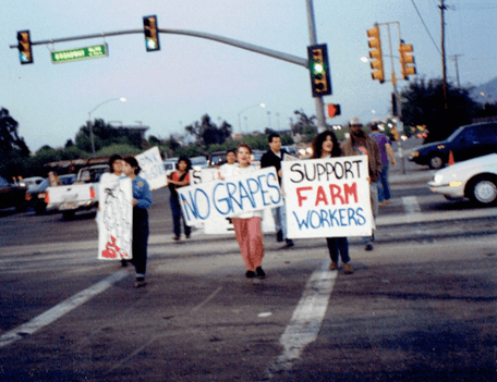 Grace supporting the grape boycott at Safeway on Broadway and Campbell in Tucson, AZ. She’s the one in the blue long-sleeve top in front to left of picture, holding the rectangle sign.